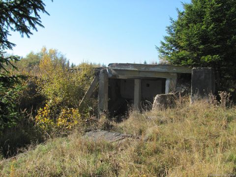 Foto 46